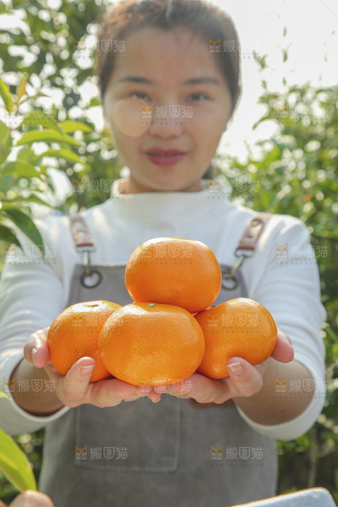 手里拿着沃柑