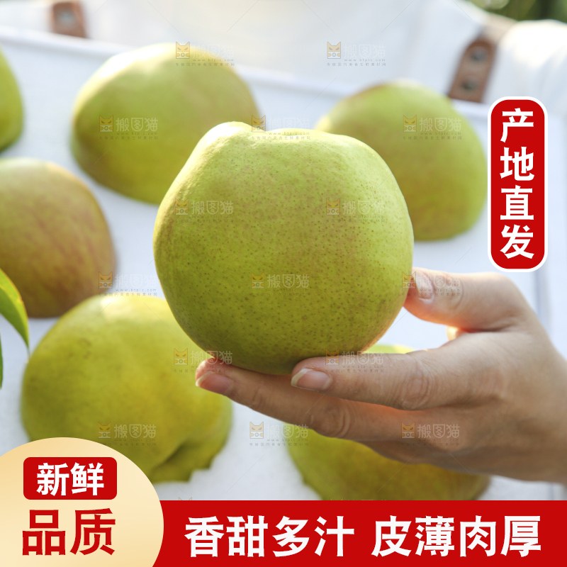 礼盒里的玉露香梨