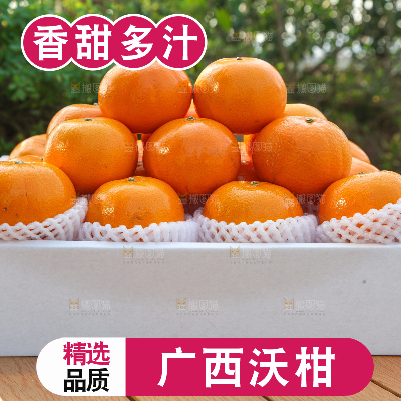 礼盒里装着的沃柑