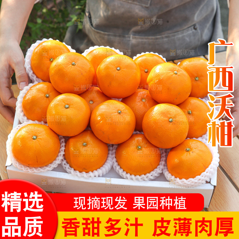 礼盒里装着的沃柑