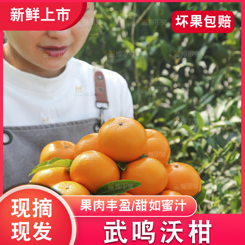 手里拿着沃柑