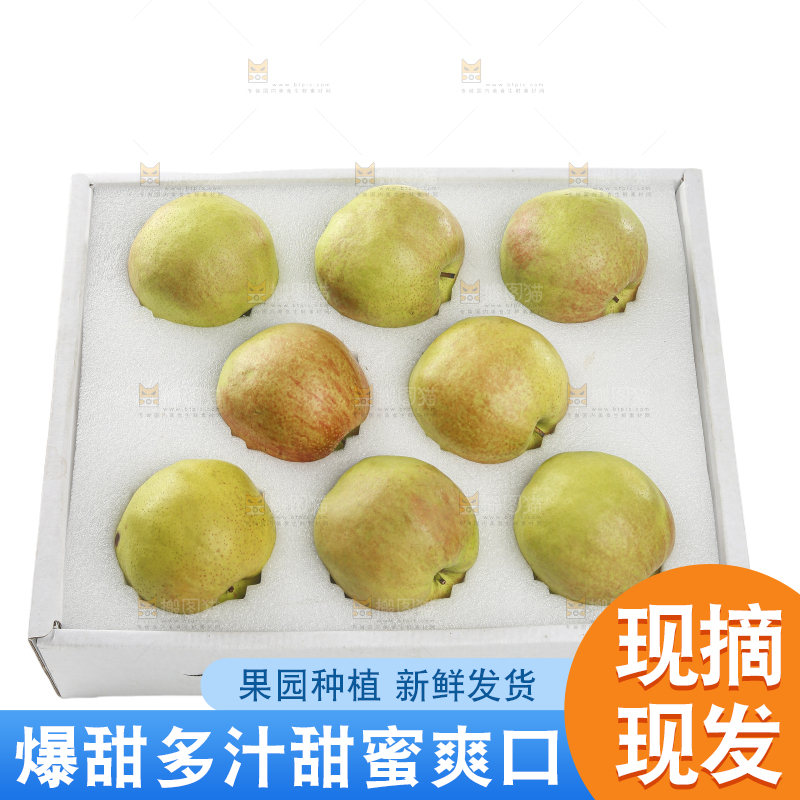 白底上的玉露香梨