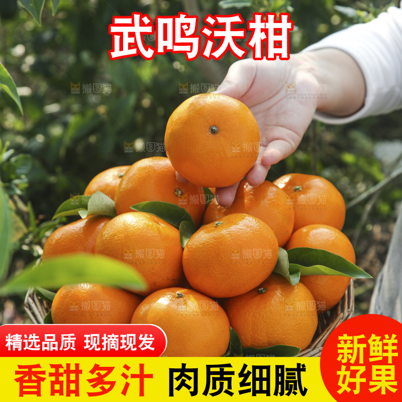 手里拿着沃柑