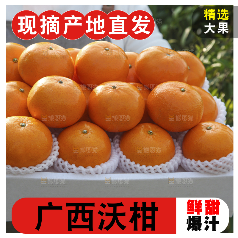 礼盒里装着的沃柑