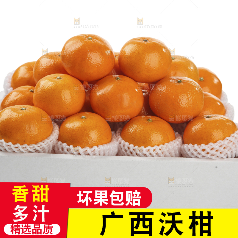 白底上的沃柑