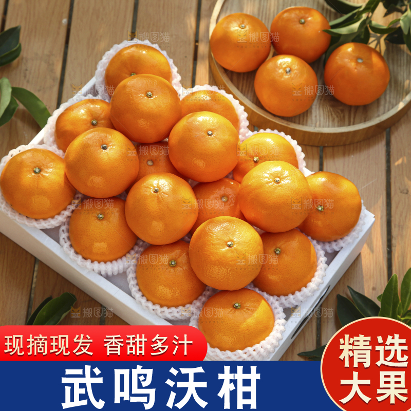 礼盒里装着的沃柑