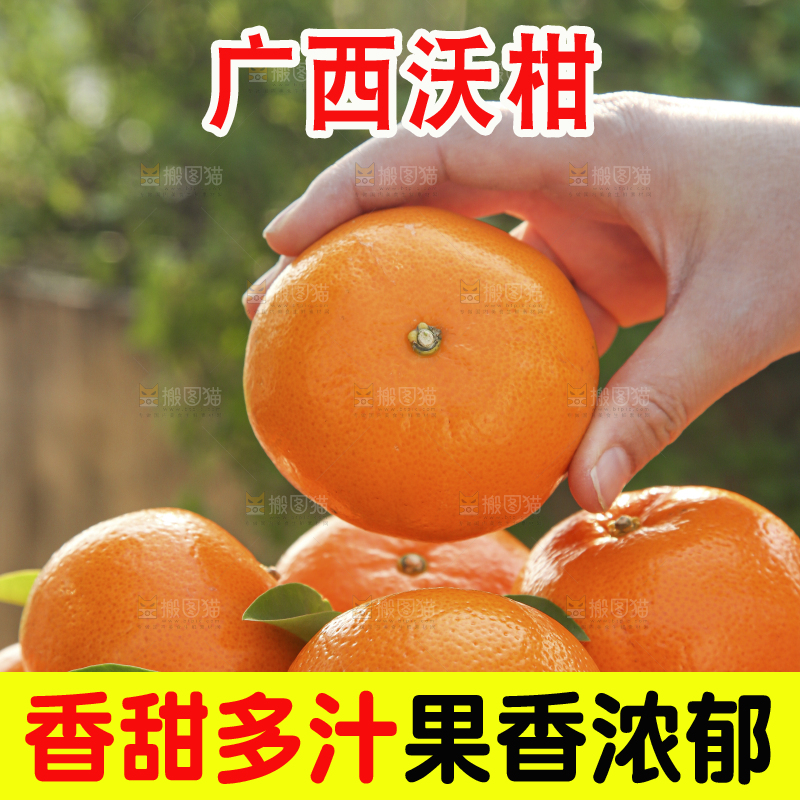 手里拿着沃柑