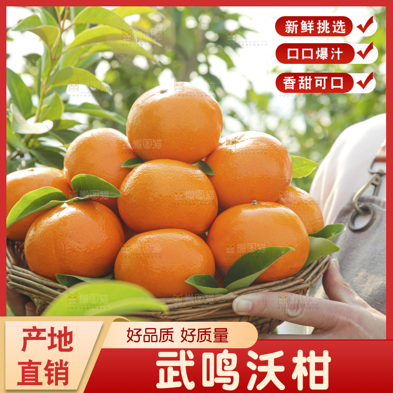 手里拿着沃柑