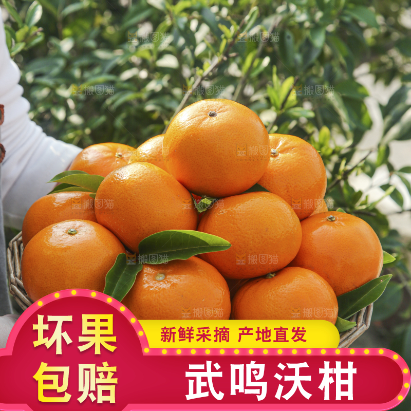 手里拿着沃柑