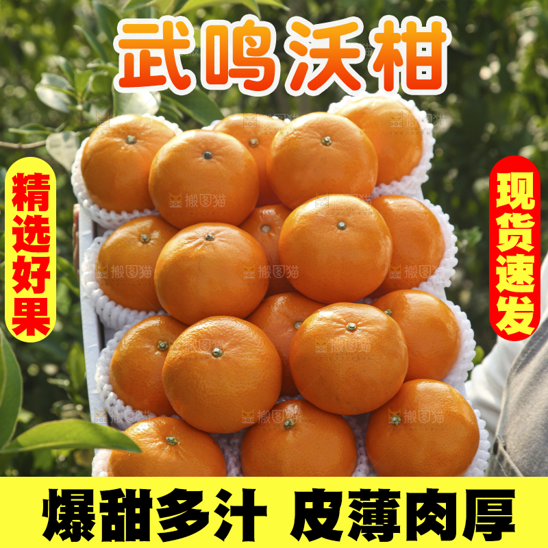 礼盒里装着的沃柑
