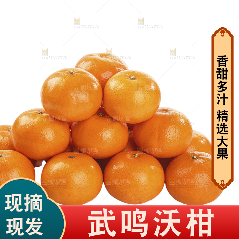 白底上的沃柑