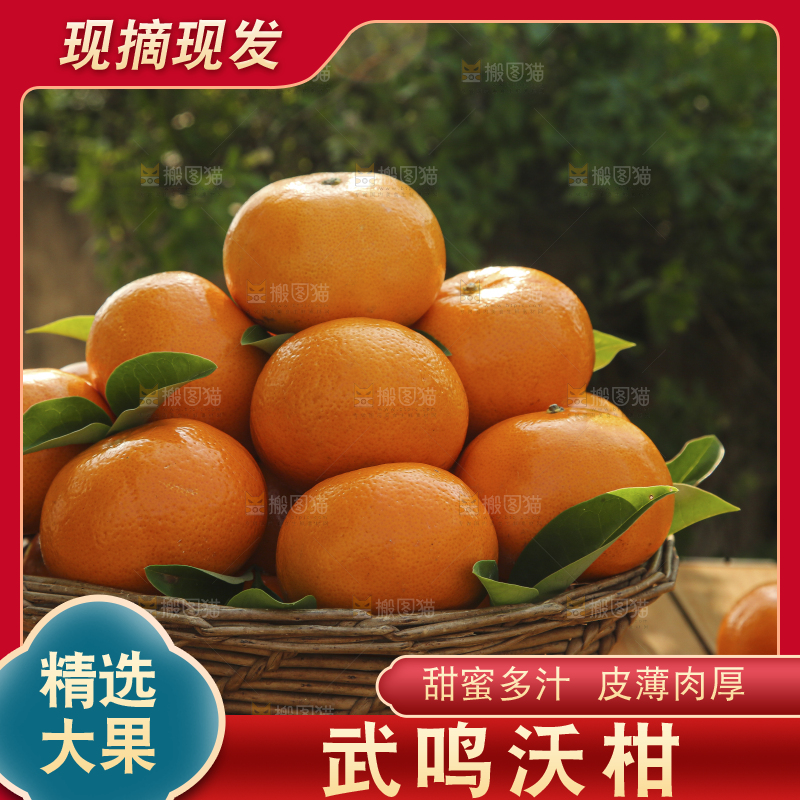 手里拿着沃柑