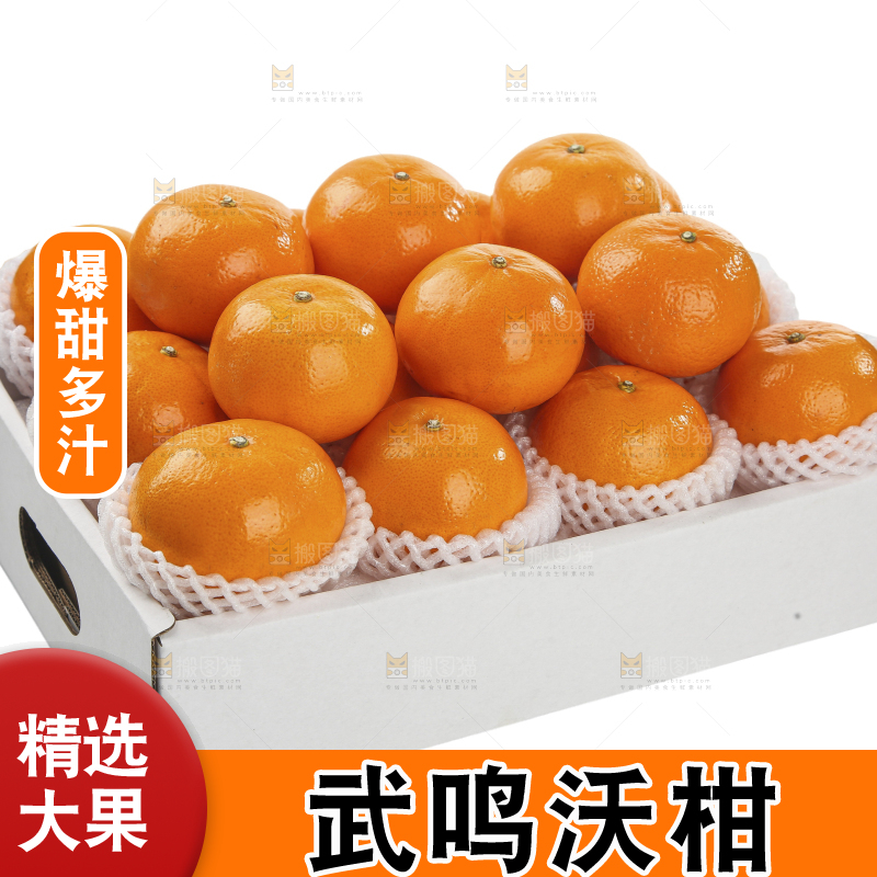 白底上的沃柑
