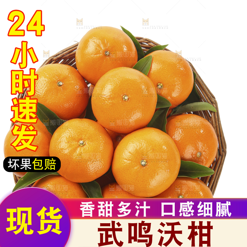 白底上的沃柑