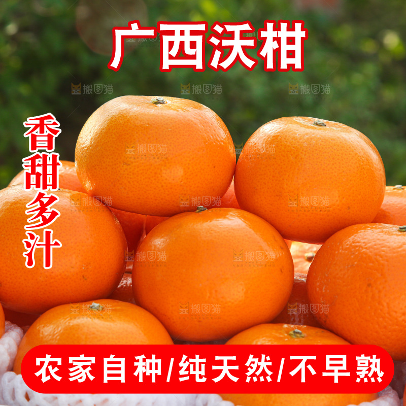 礼盒里装着的沃柑