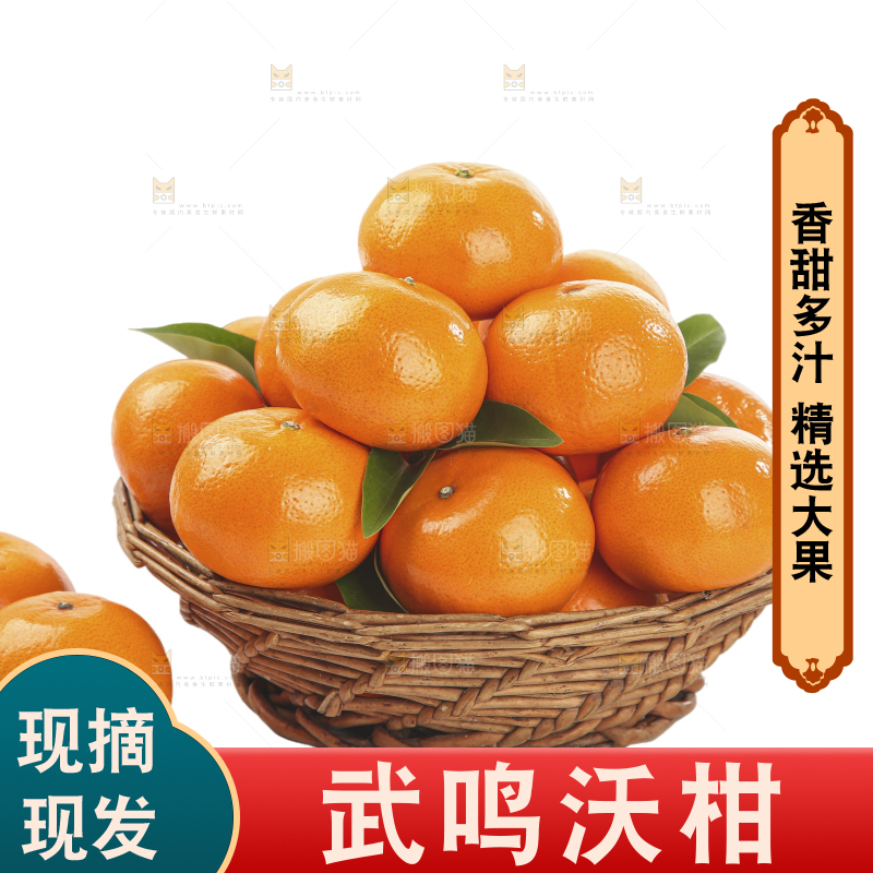 白底上的沃柑