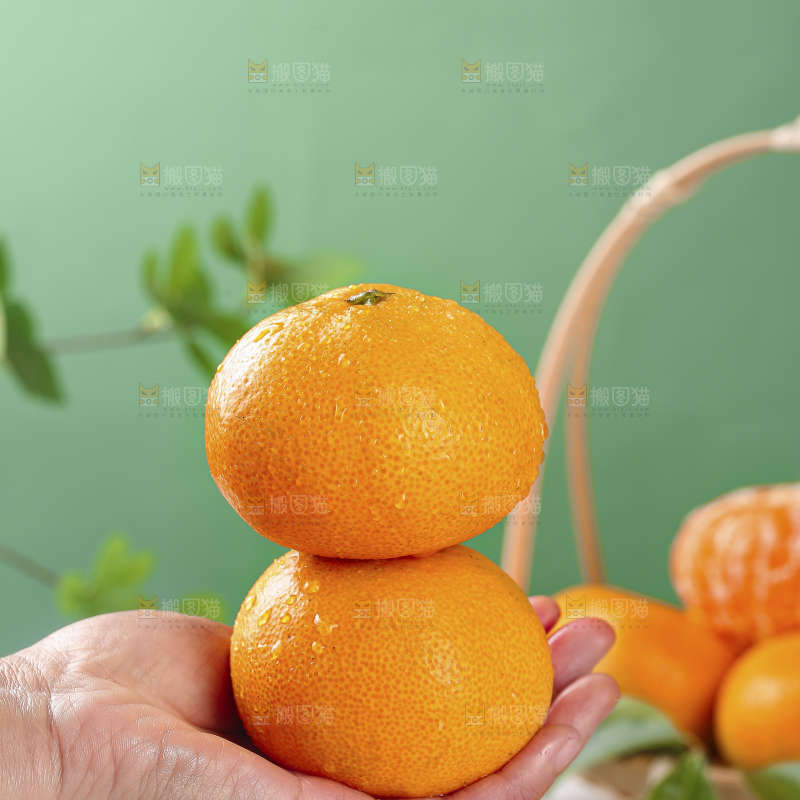 浅底上的涌泉蜜桔