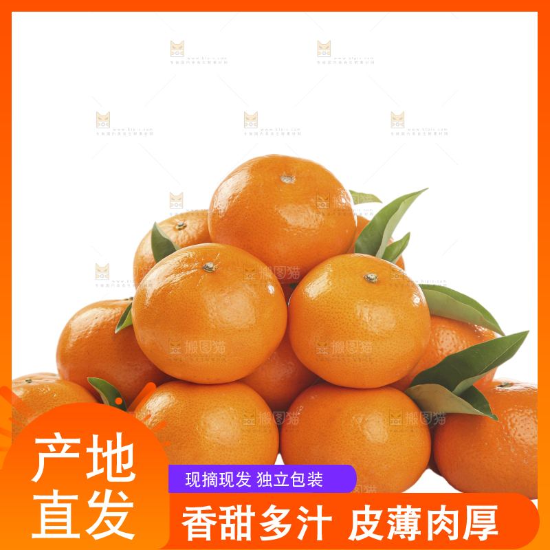 白底上的沃柑