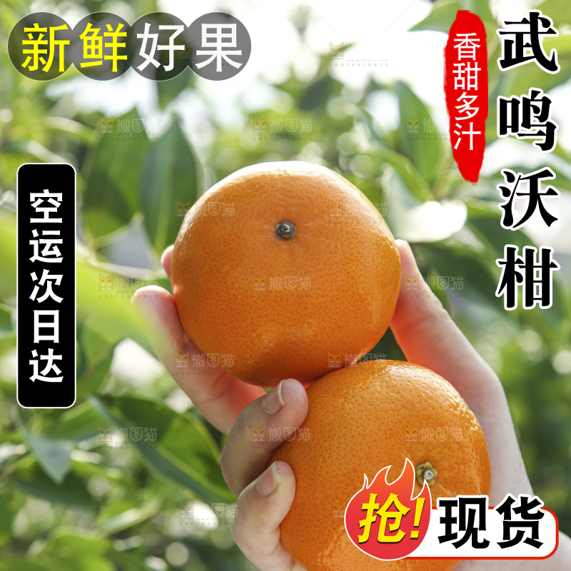 手里拿着沃柑