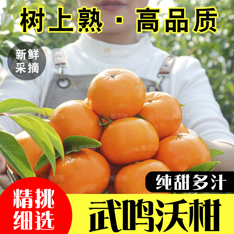 手里拿着沃柑