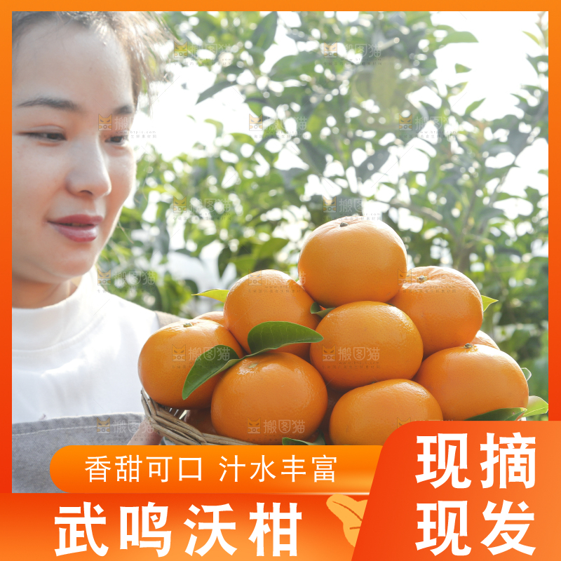 手里拿着沃柑