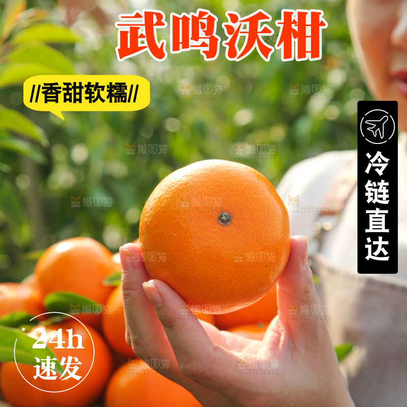 手里拿着沃柑