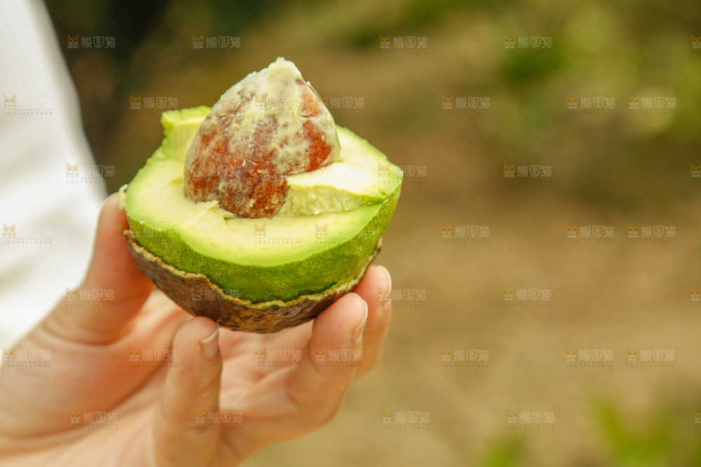 手里拿着个牛油果