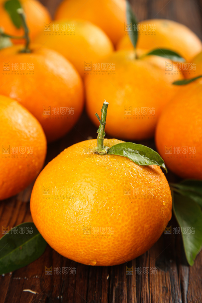 深底上的爱媛果冻橙
