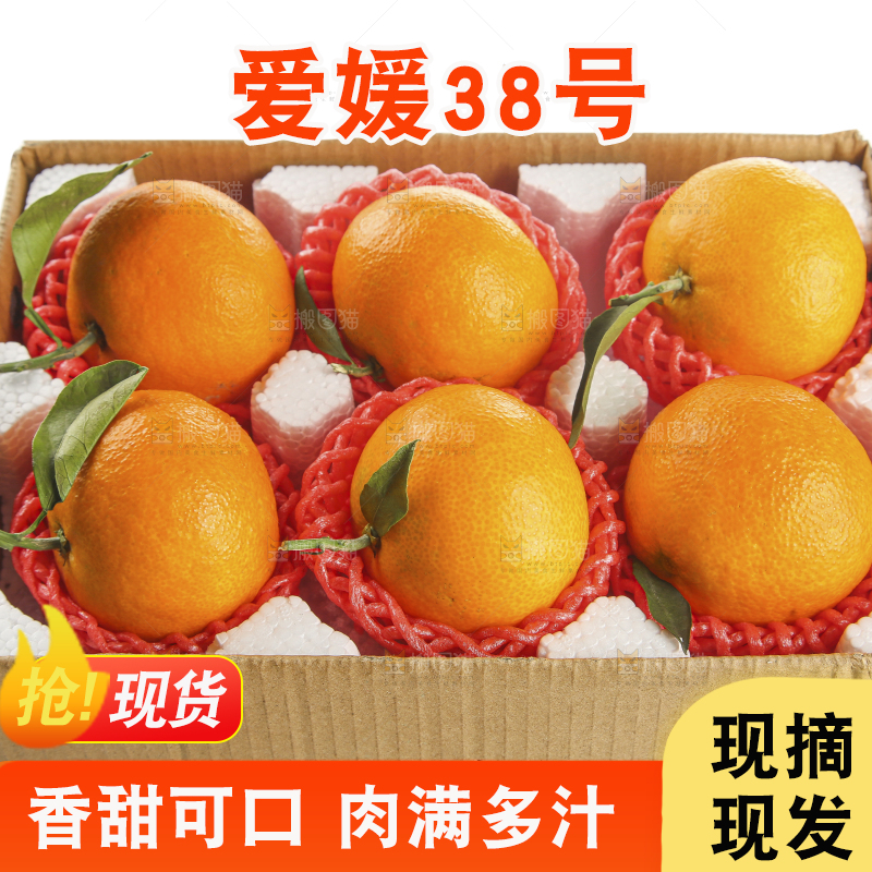 白底上的爱媛果冻橙