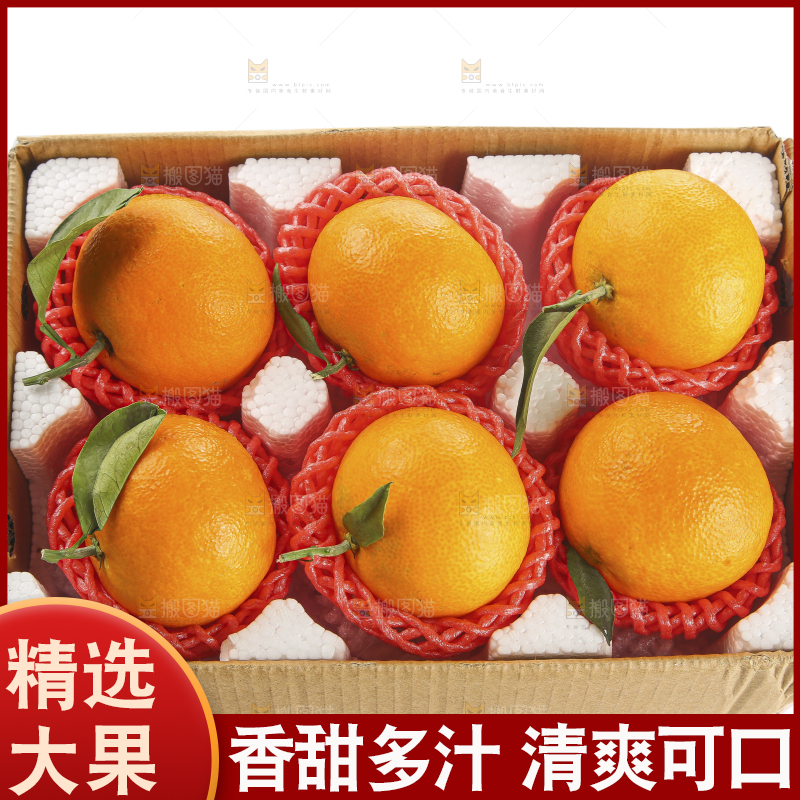 白底上的爱媛果冻橙