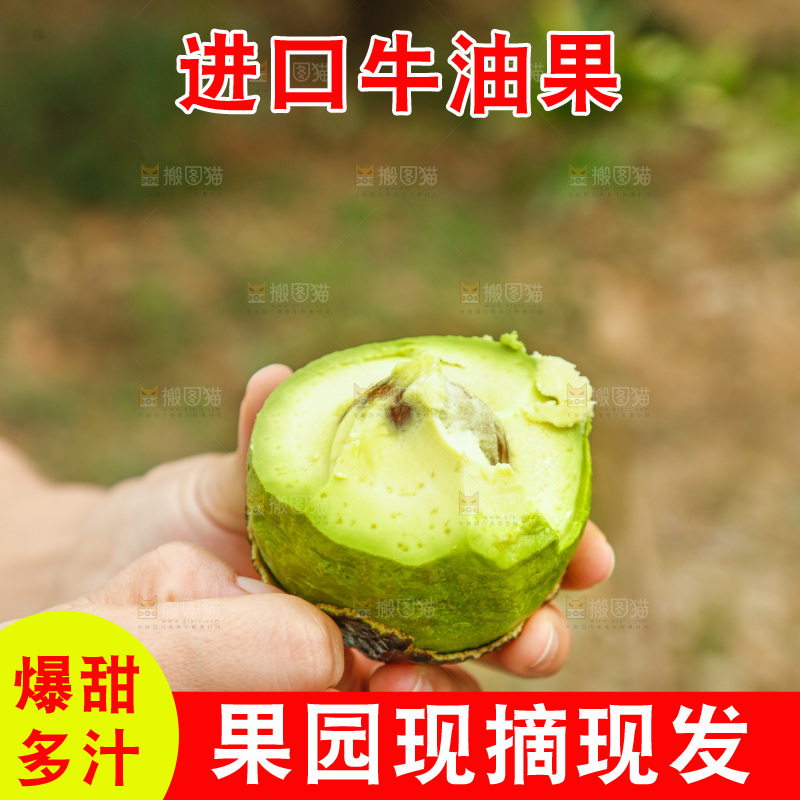 手里拿着个牛油果