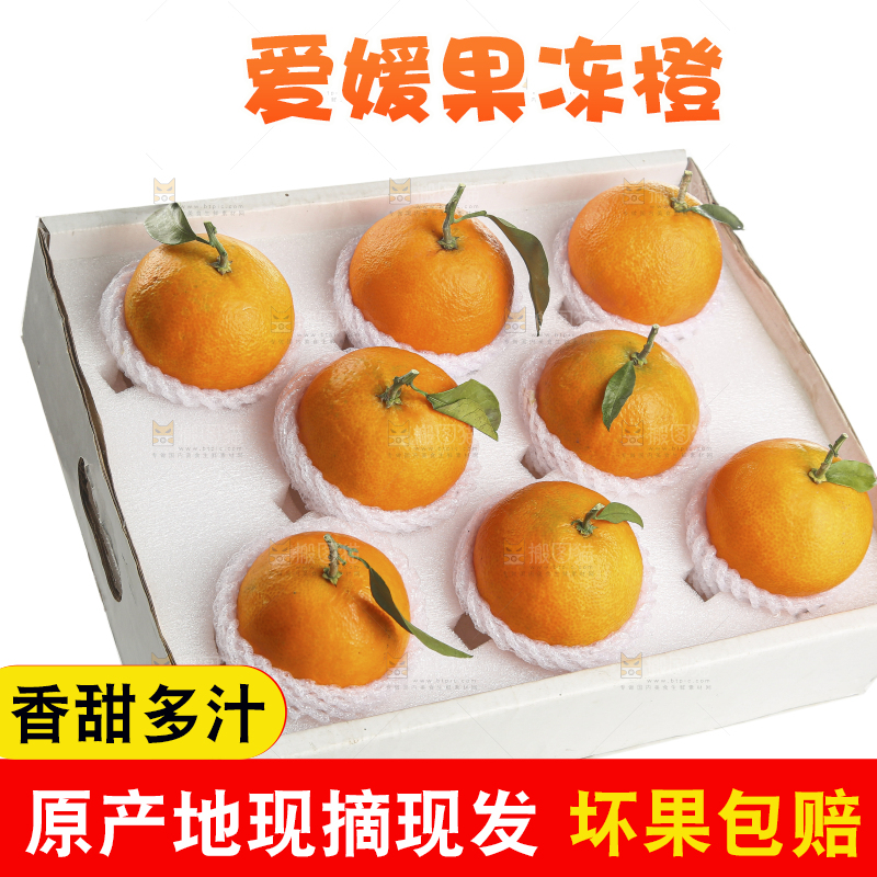 白底上的爱媛果冻橙