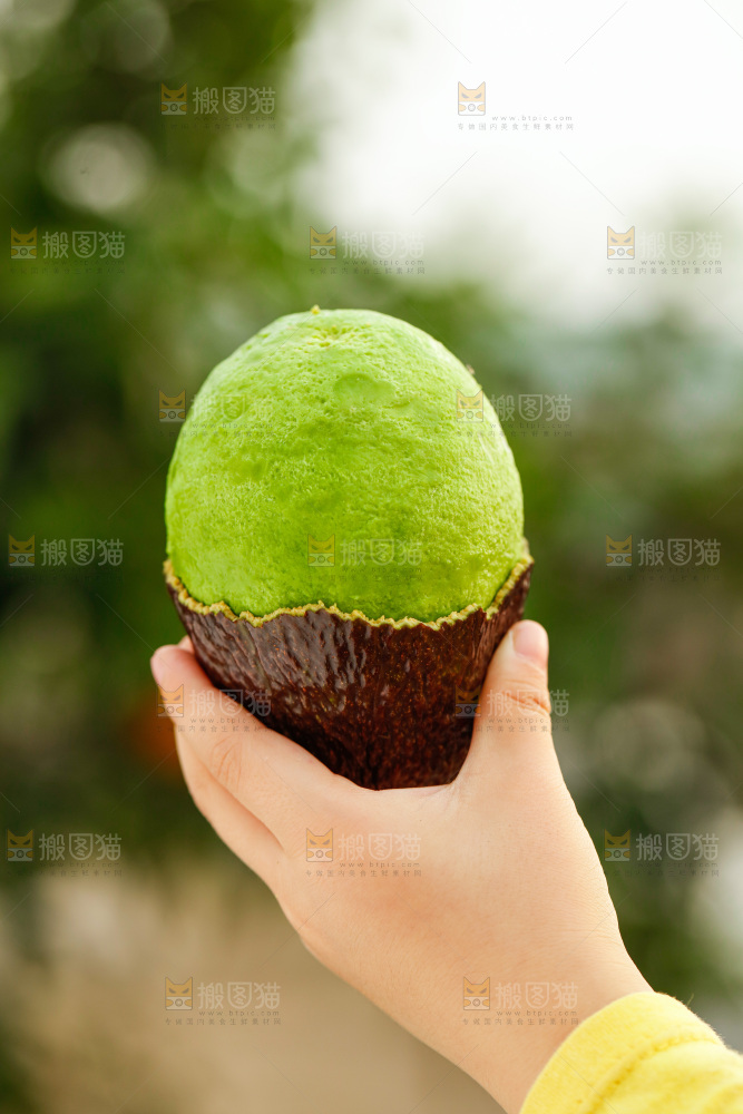 手里拿着巨无霸牛油果
