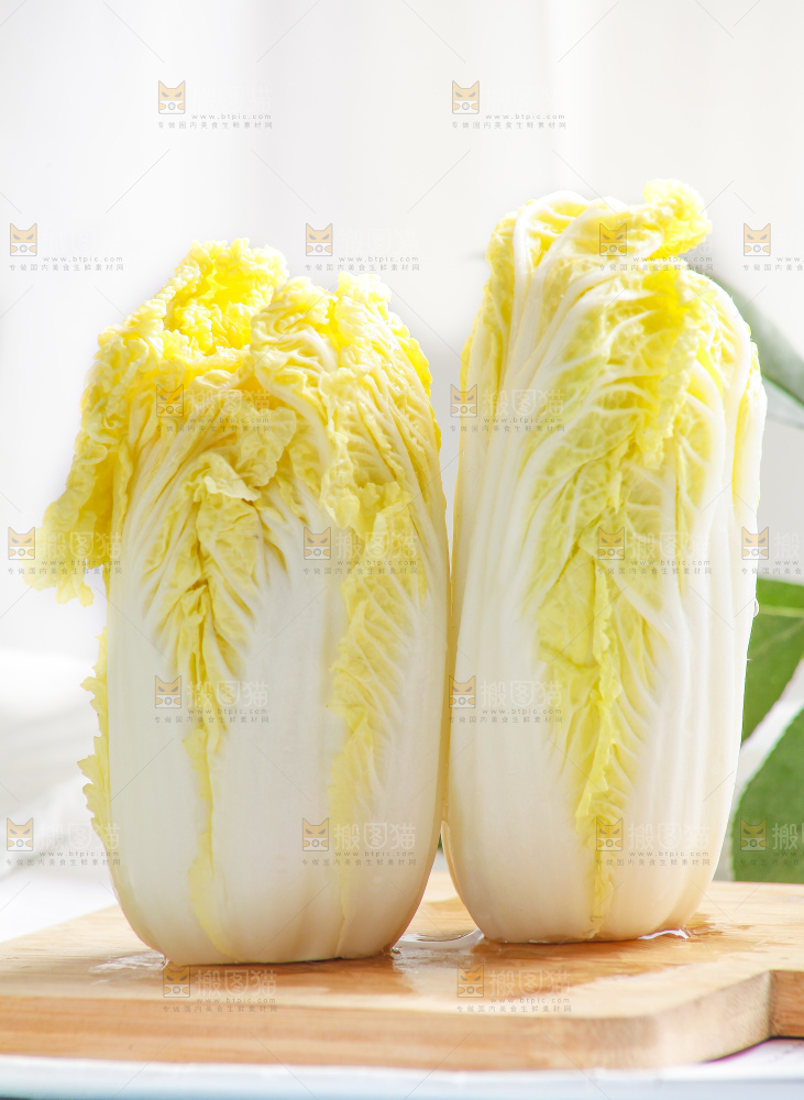 浅底上的娃娃菜