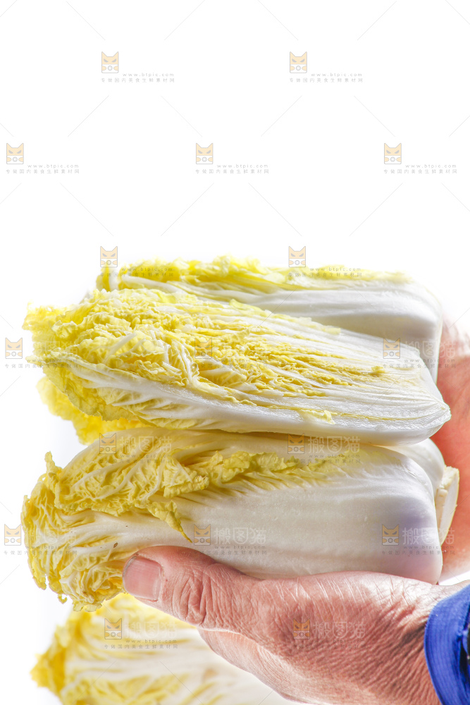 白底上的娃娃菜