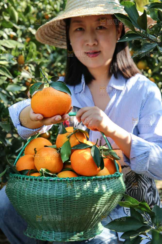 手里拿着爱媛果冻橙