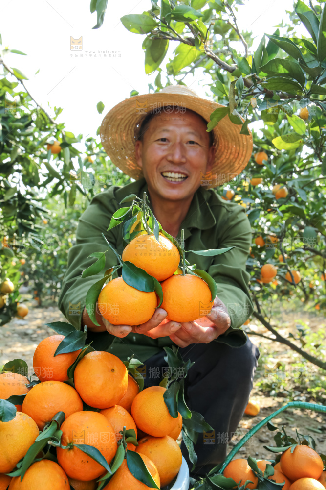 手里拿着爱媛果冻橙