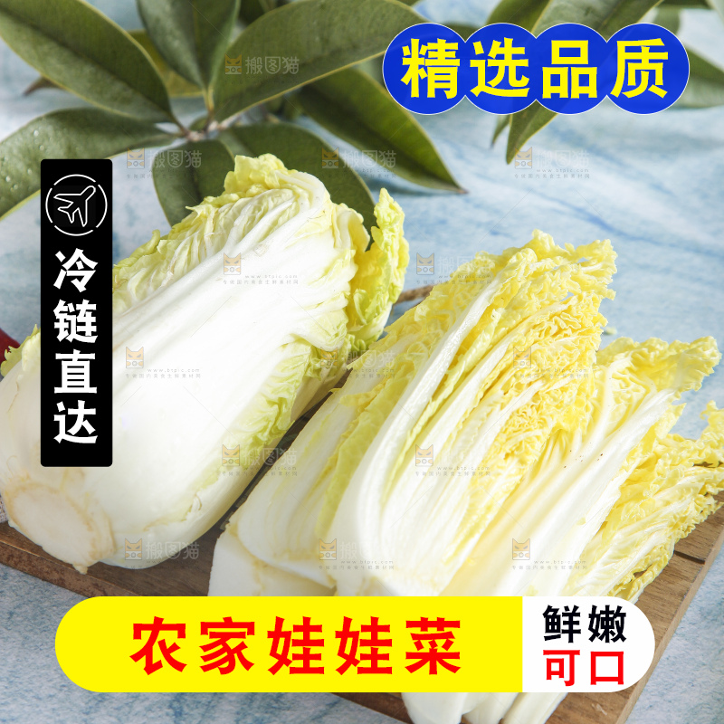 浅底上的娃娃菜