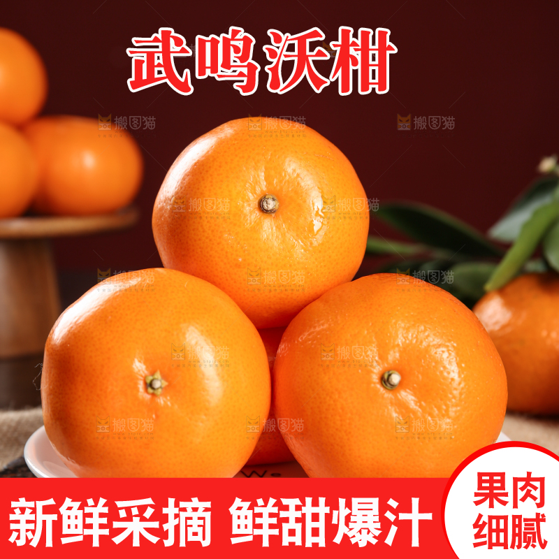 深底上的武鸣沃柑