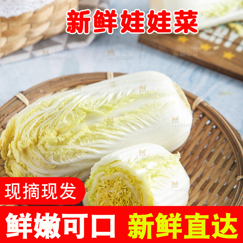 浅底上的娃娃菜