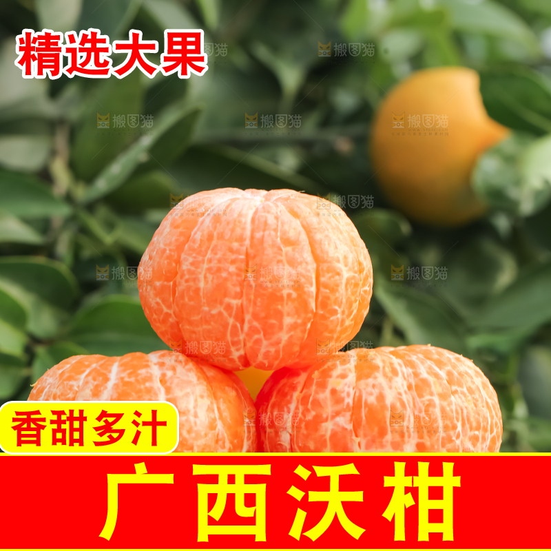 手里拿着新鲜沃柑