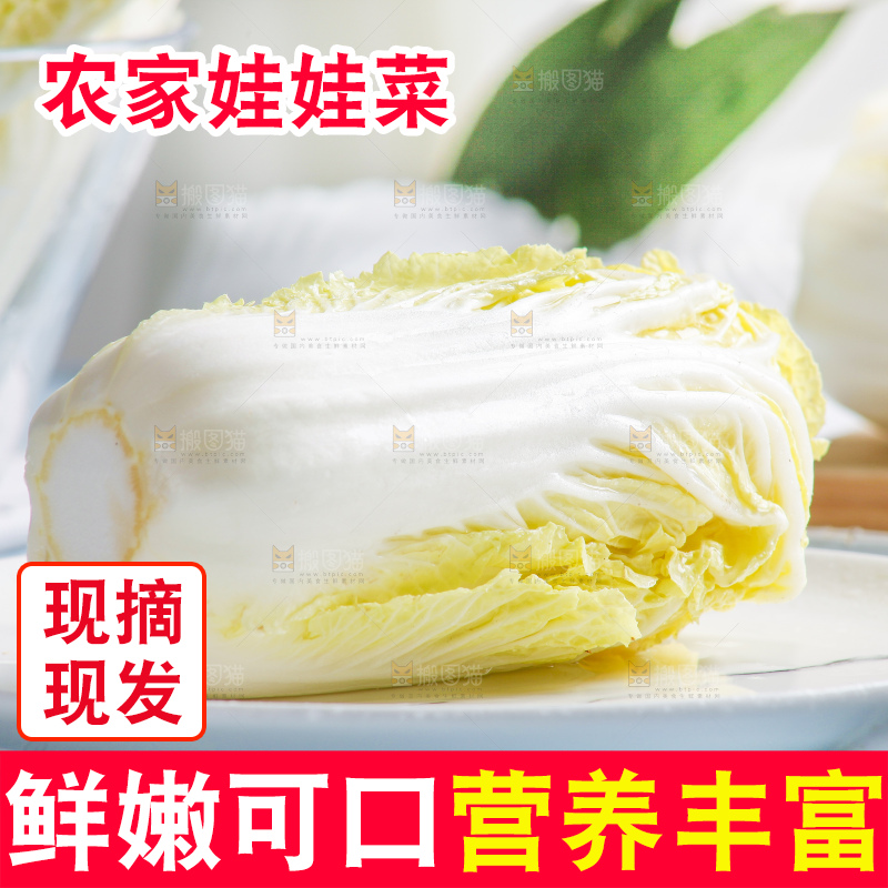浅底上的娃娃菜