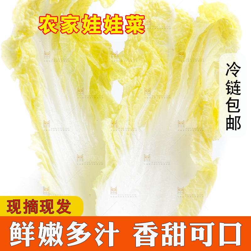 白底上的娃娃菜