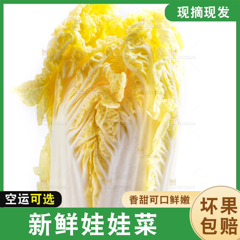 白底上的娃娃菜