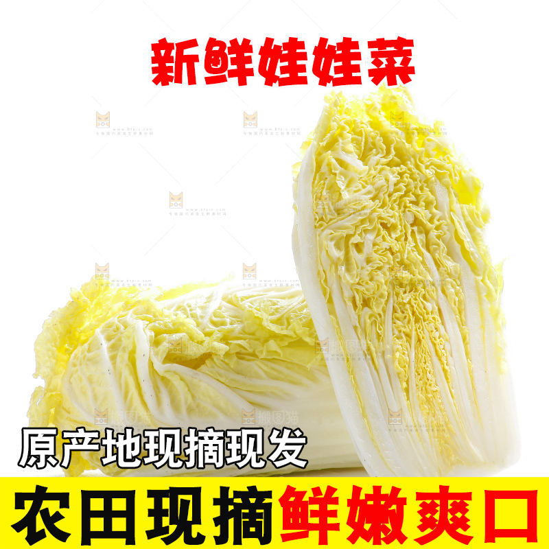白底上的娃娃菜
