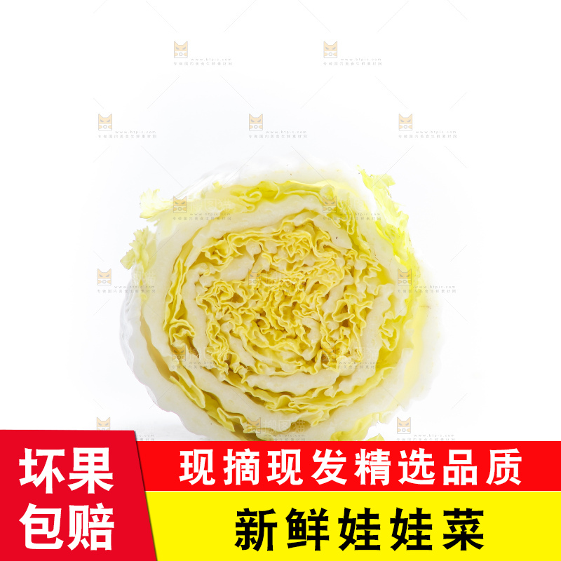 白底上的娃娃菜