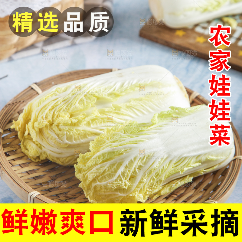 浅底上的娃娃菜