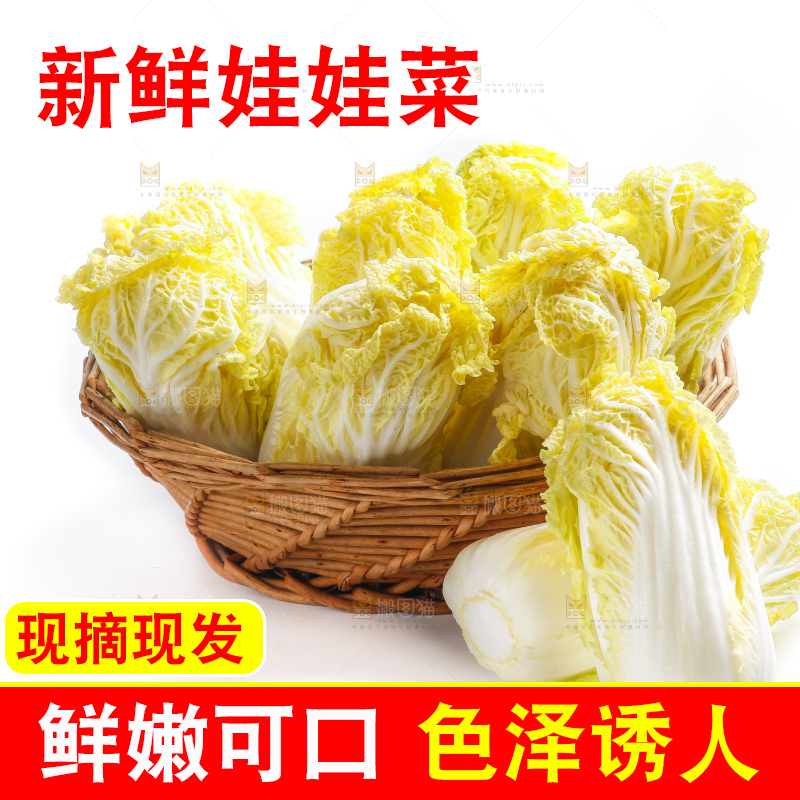 白底上的娃娃菜