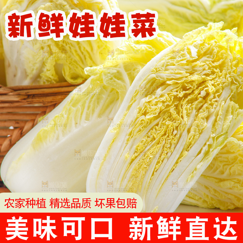白底上的娃娃菜