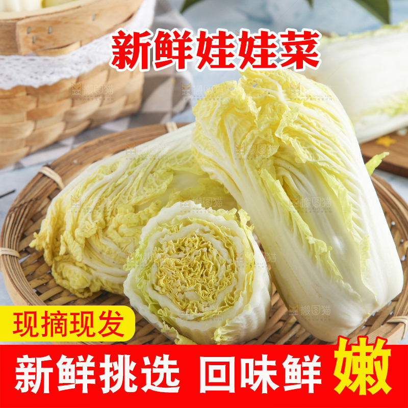 浅底上的娃娃菜